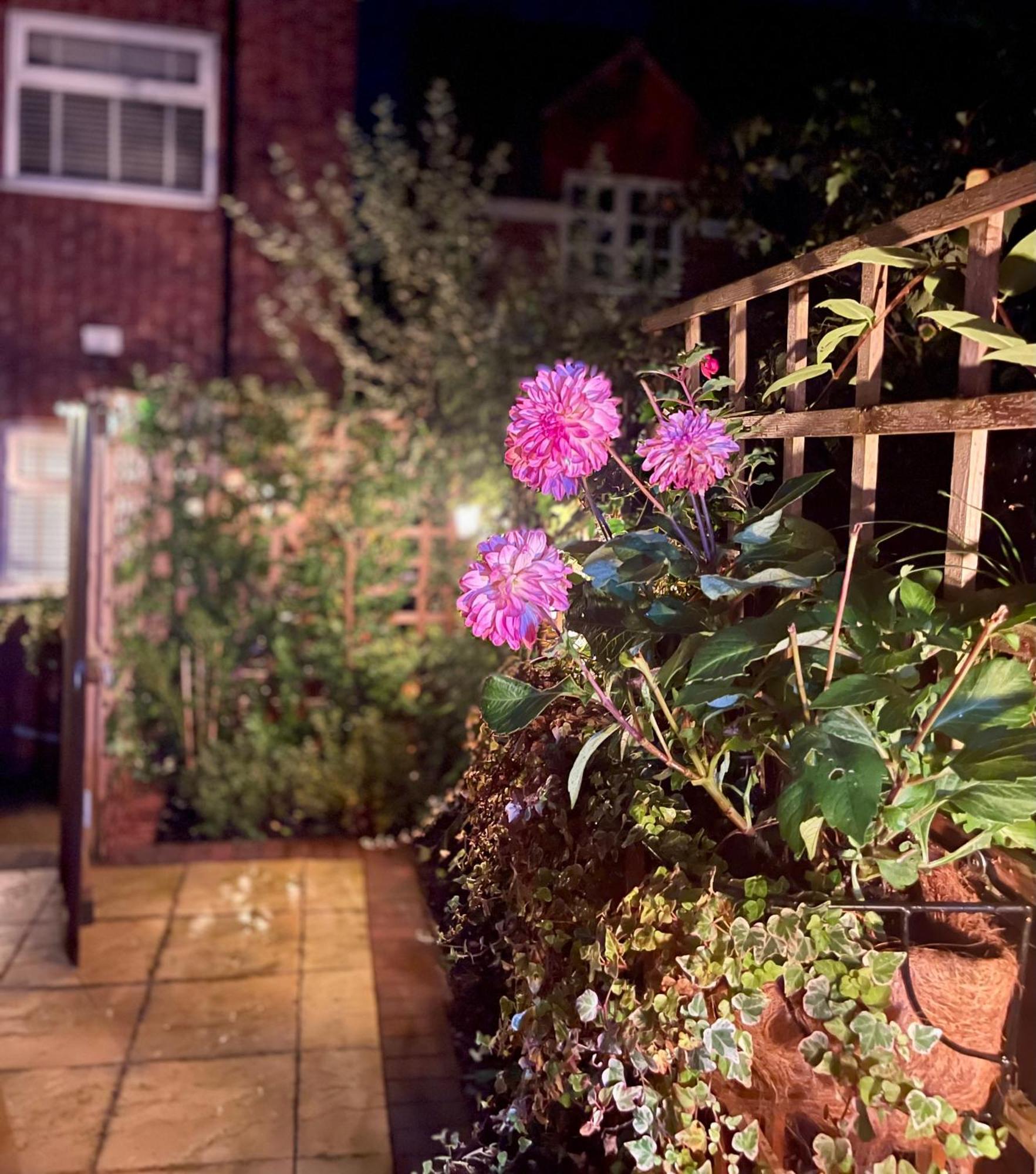 Cosy Cottage Central Bawtry - 2 Bedroom - High End Furnishings Eksteriør billede